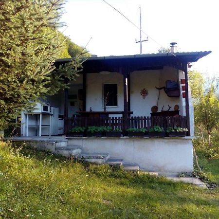 Bungalows Zdravets Берковица Екстериор снимка