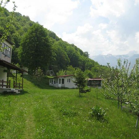 Bungalows Zdravets Берковица Екстериор снимка