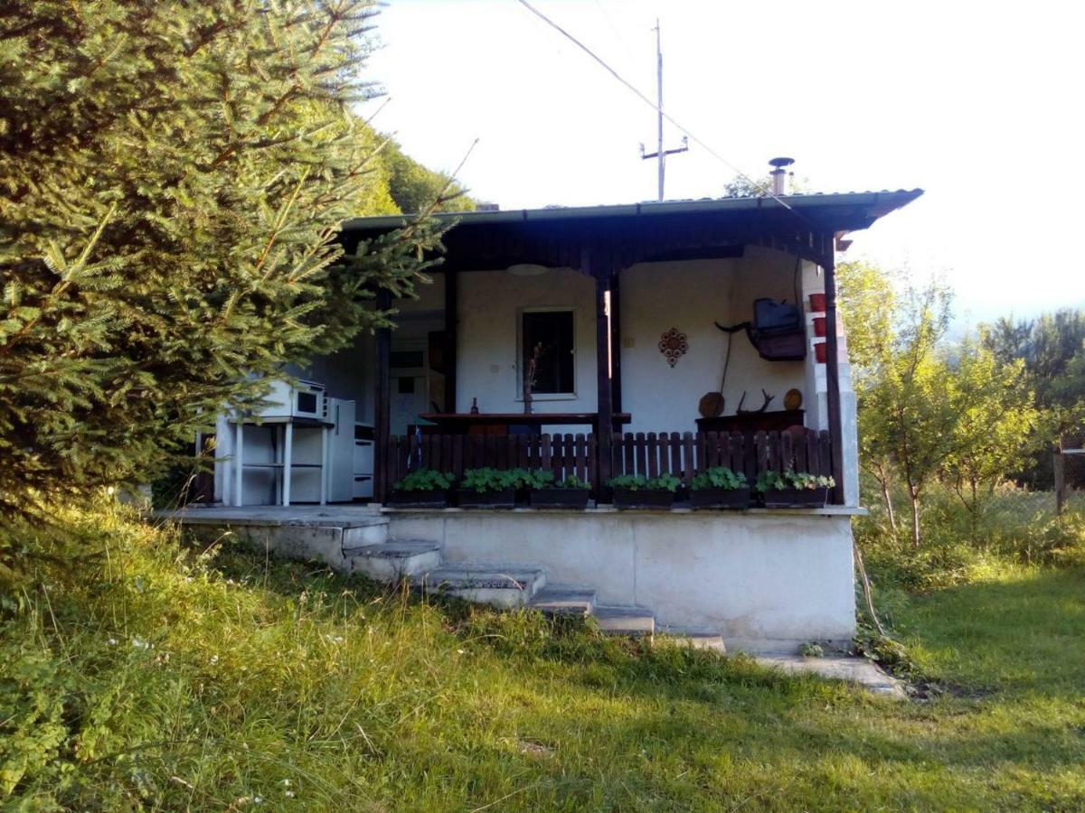Bungalows Zdravets Берковица Екстериор снимка