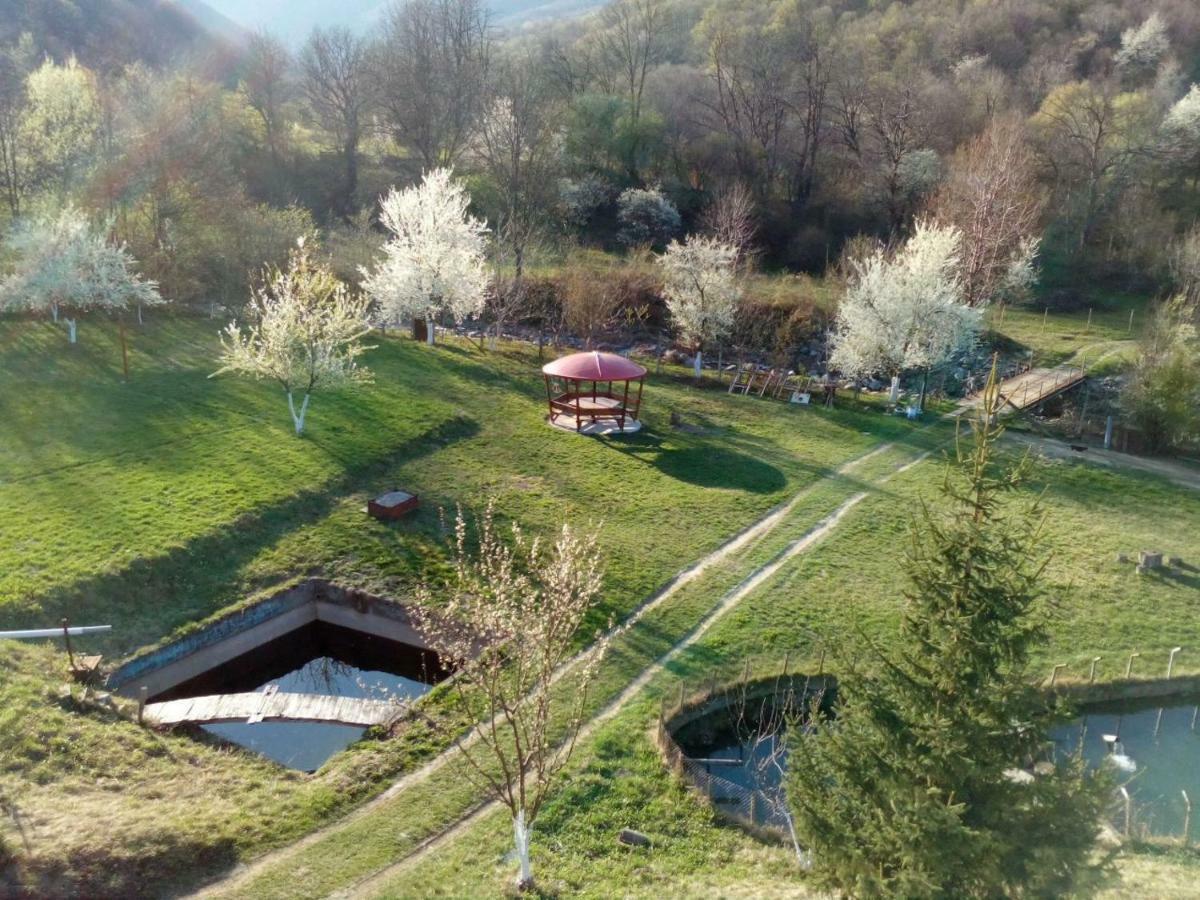 Bungalows Zdravets Берковица Екстериор снимка