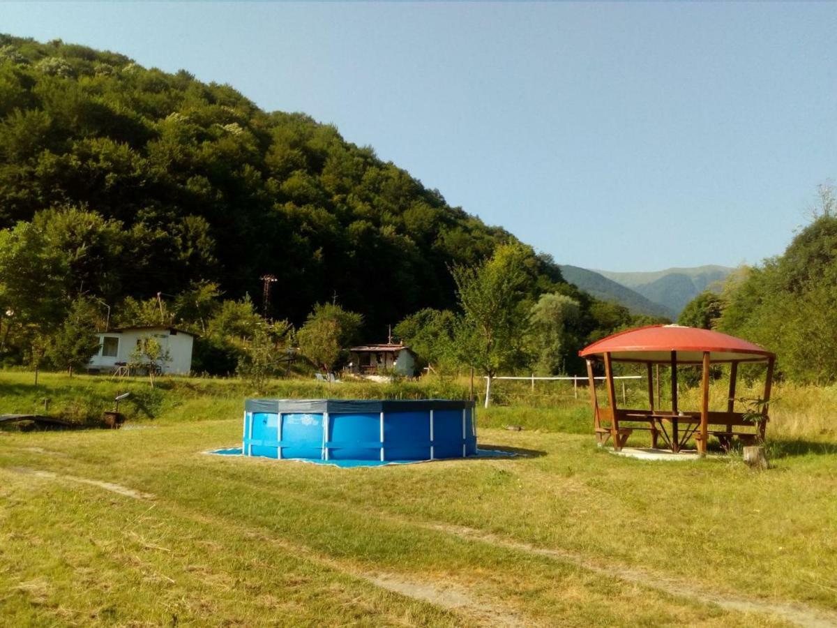 Bungalows Zdravets Берковица Екстериор снимка