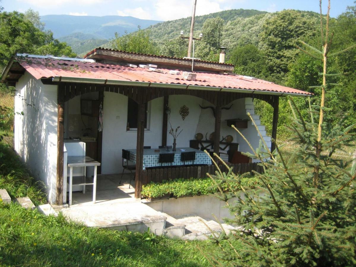 Bungalows Zdravets Берковица Екстериор снимка