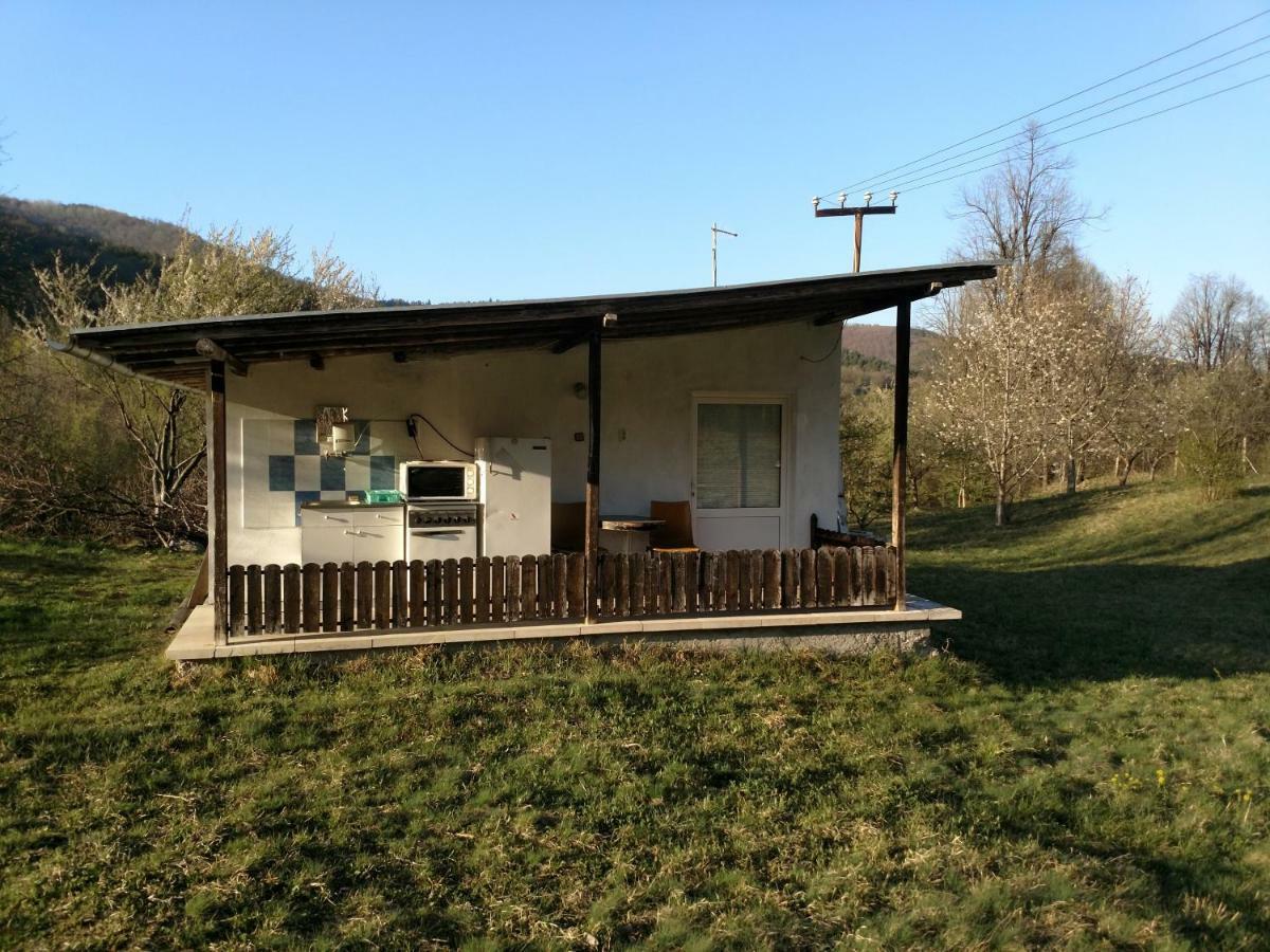 Bungalows Zdravets Берковица Екстериор снимка