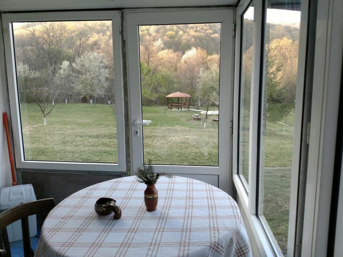 Bungalows Zdravets Берковица Екстериор снимка